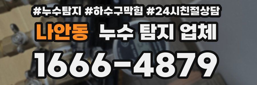 나안동 누수 탐지 업체