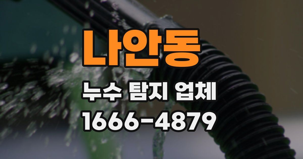 나안동 누수 탐지 업체