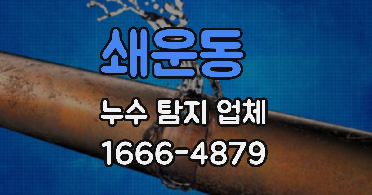 쇄운동 누수 탐지 업체
