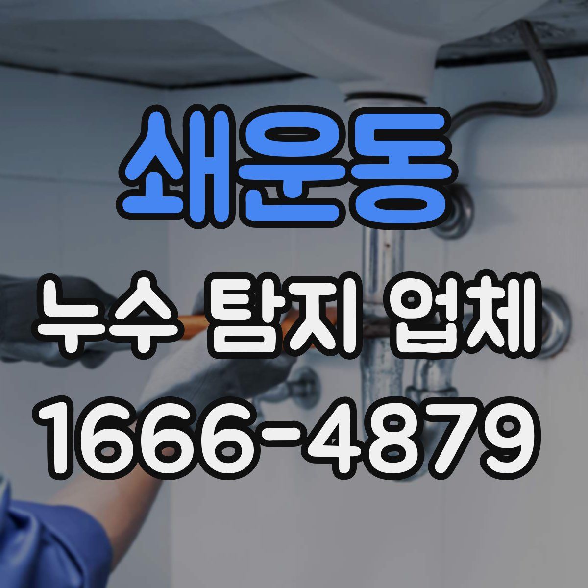 쇄운동 누수 탐지 업체