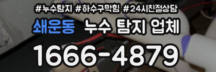 쇄운동 누수 탐지 업체