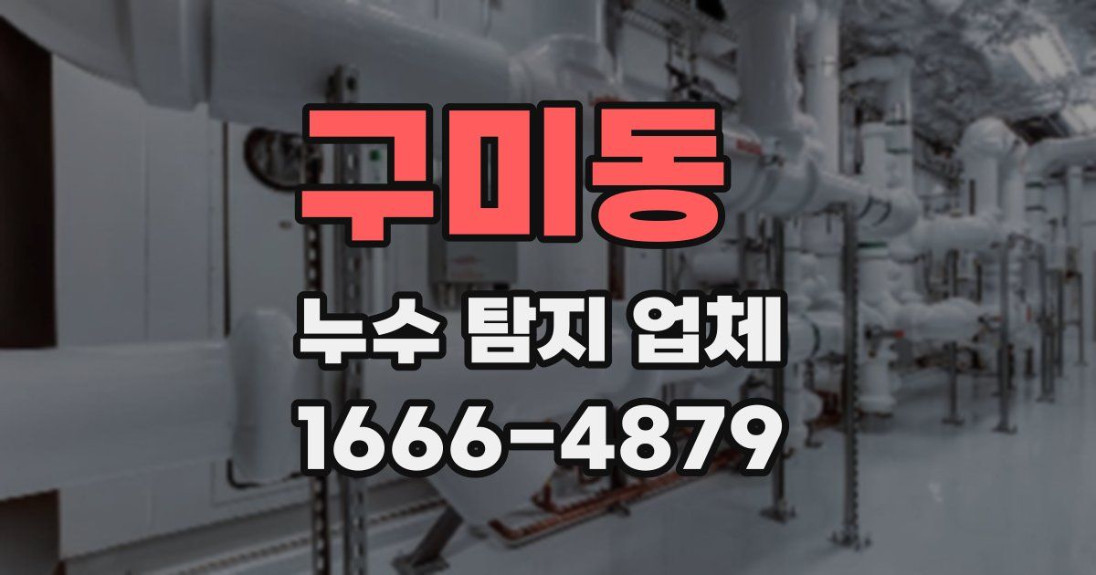 구미동 누수 탐지 업체