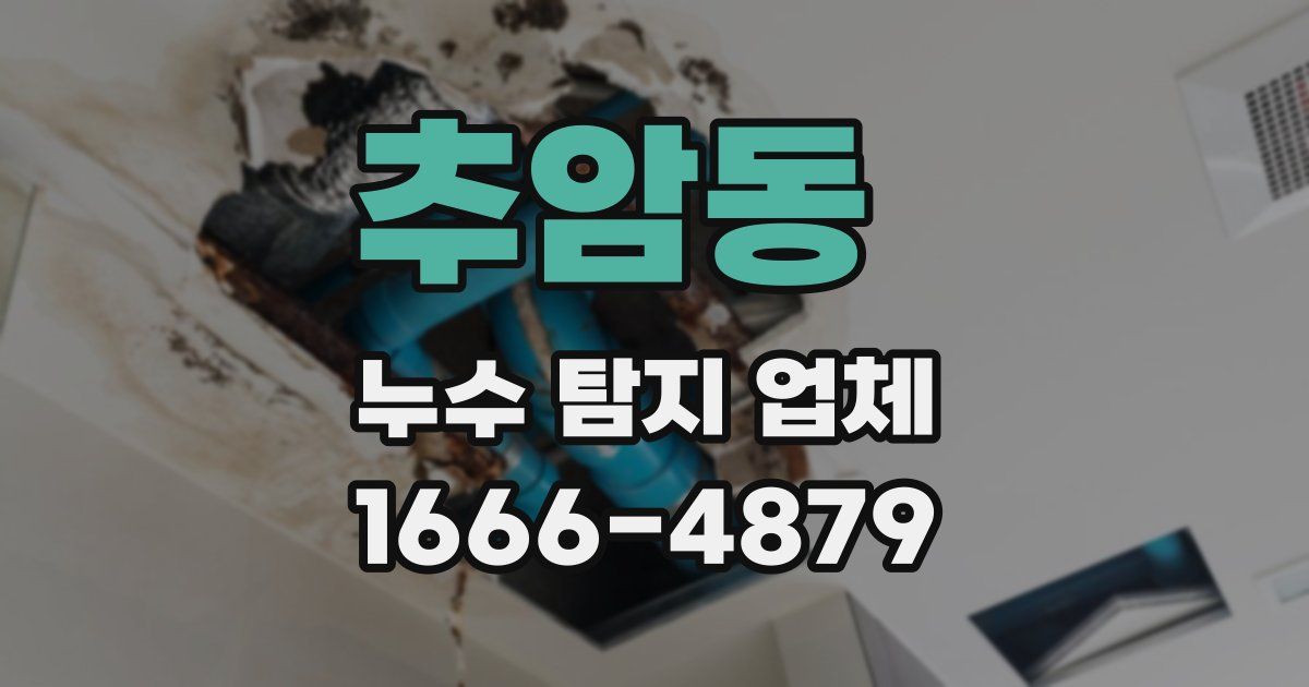추암동 누수 탐지 업체
