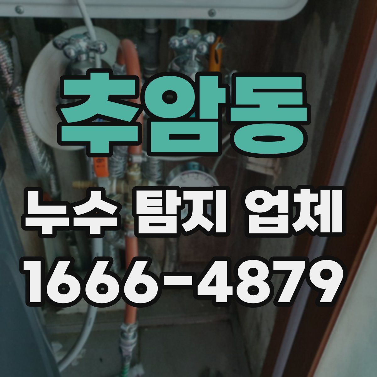 추암동 누수 탐지 업체