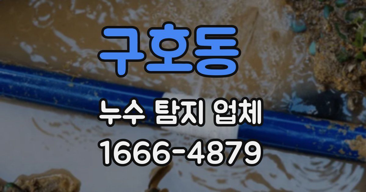구호동 누수 탐지 업체