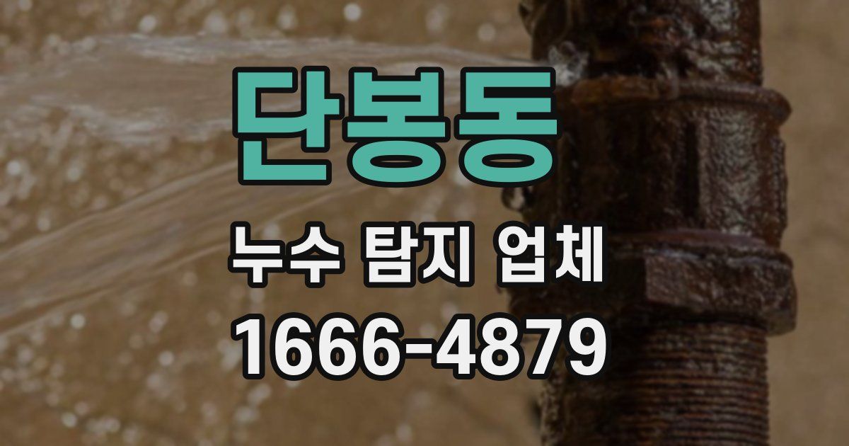 단봉동 누수 탐지 업체