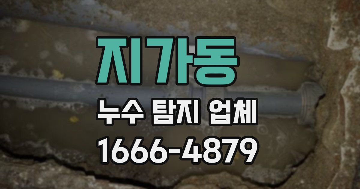 지가동 누수 탐지 업체