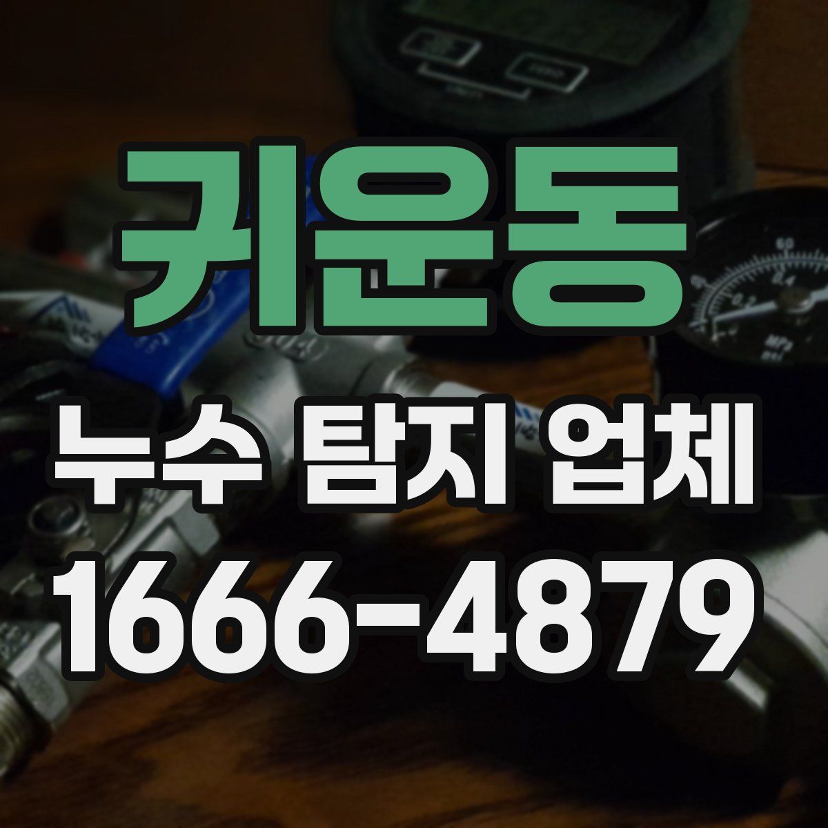 귀운동 누수 탐지 업체