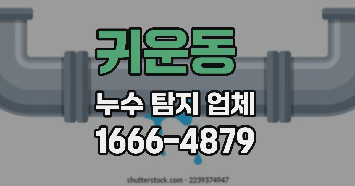 귀운동 누수 탐지 업체
