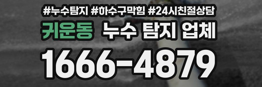 귀운동 누수 탐지 업체