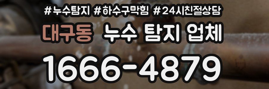 대구동 누수 탐지 업체