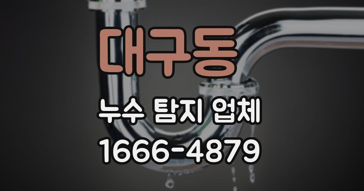 대구동 누수 탐지 업체