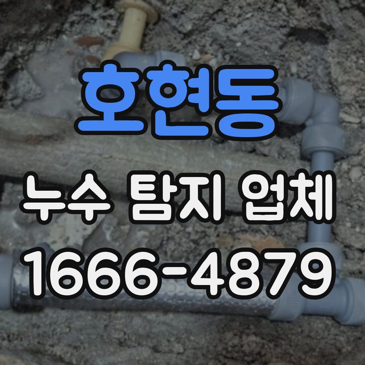 호현동 누수 탐지 업체