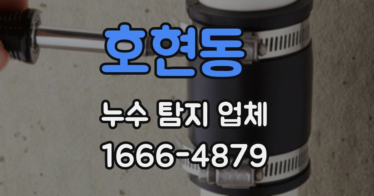 호현동 누수 탐지 업체