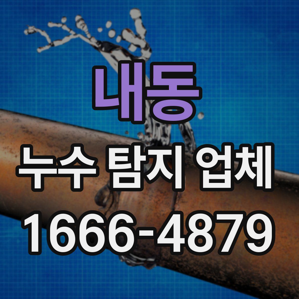 내동 누수 탐지 업체