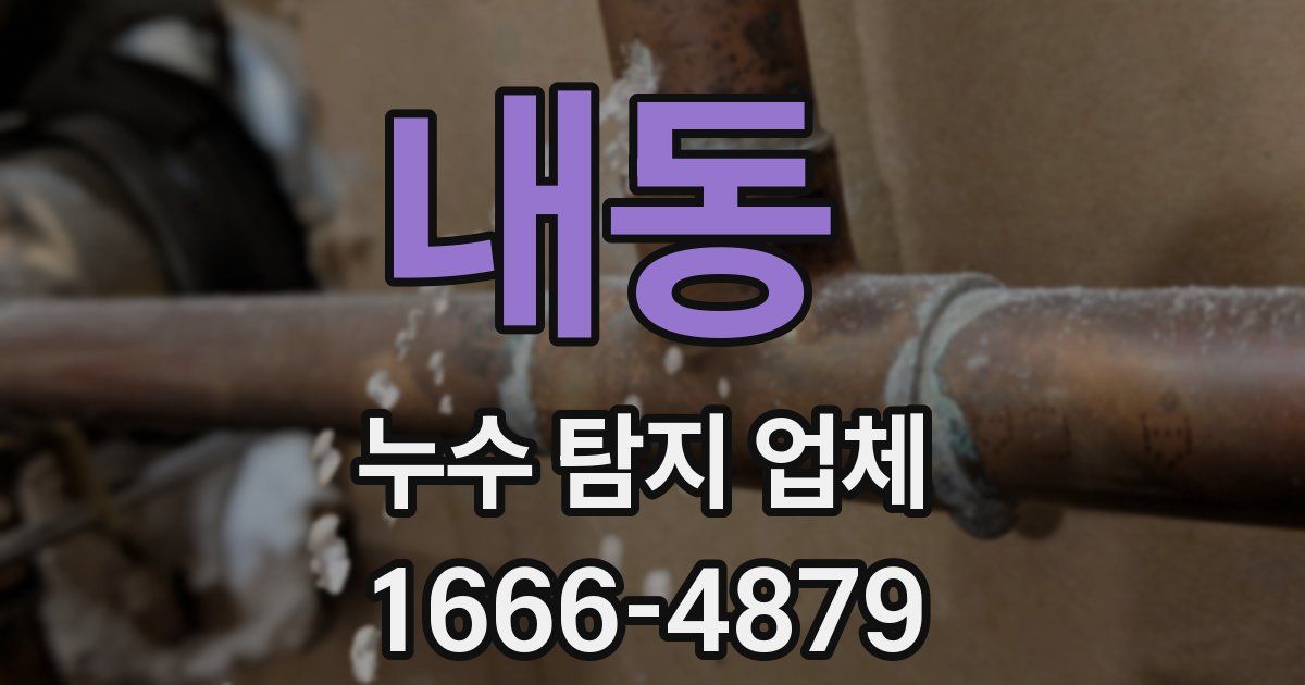 내동 누수 탐지 업체