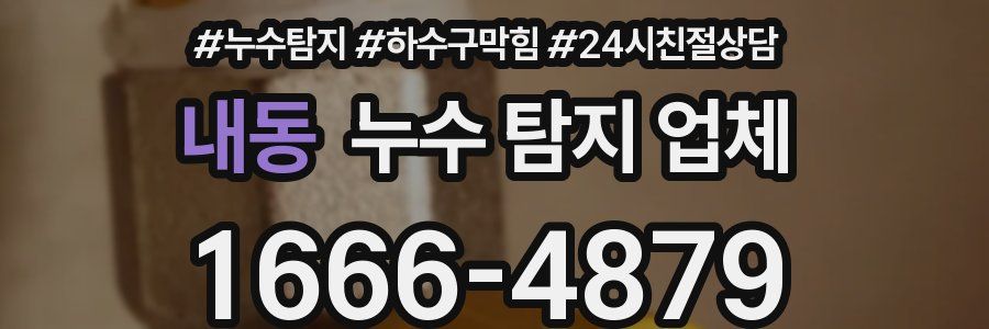 내동 누수 탐지 업체