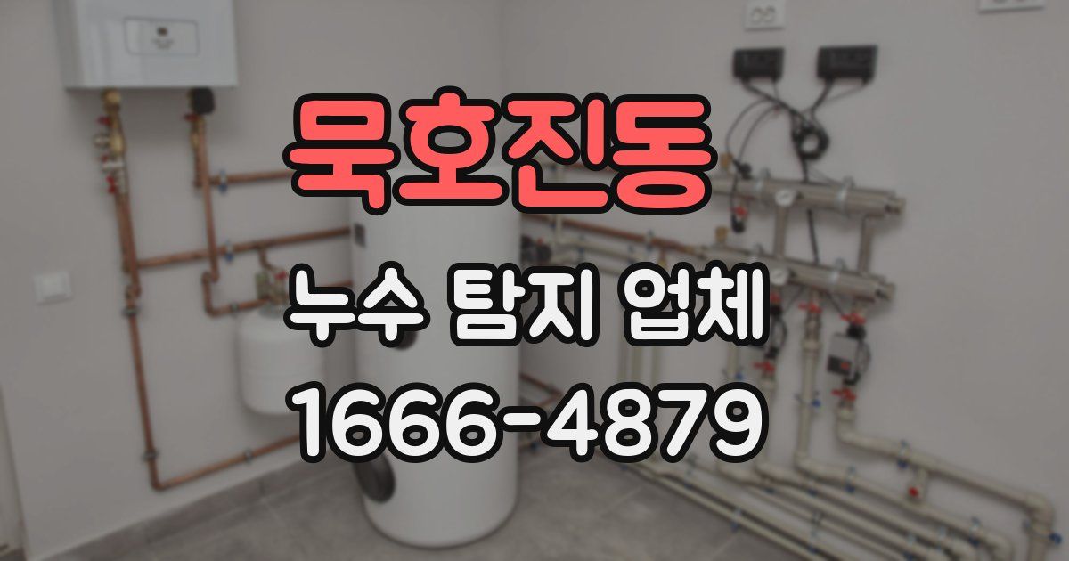 묵호진동 누수 탐지 업체