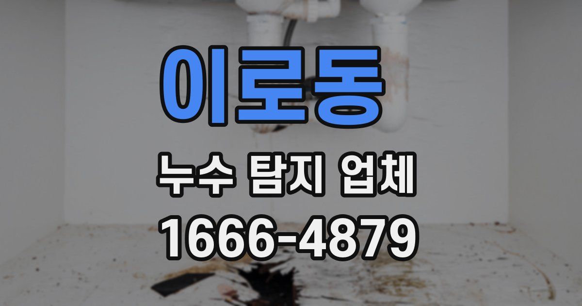 이로동 누수 탐지 업체