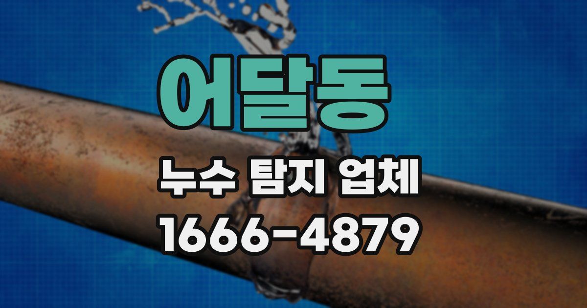 어달동 누수 탐지 업체