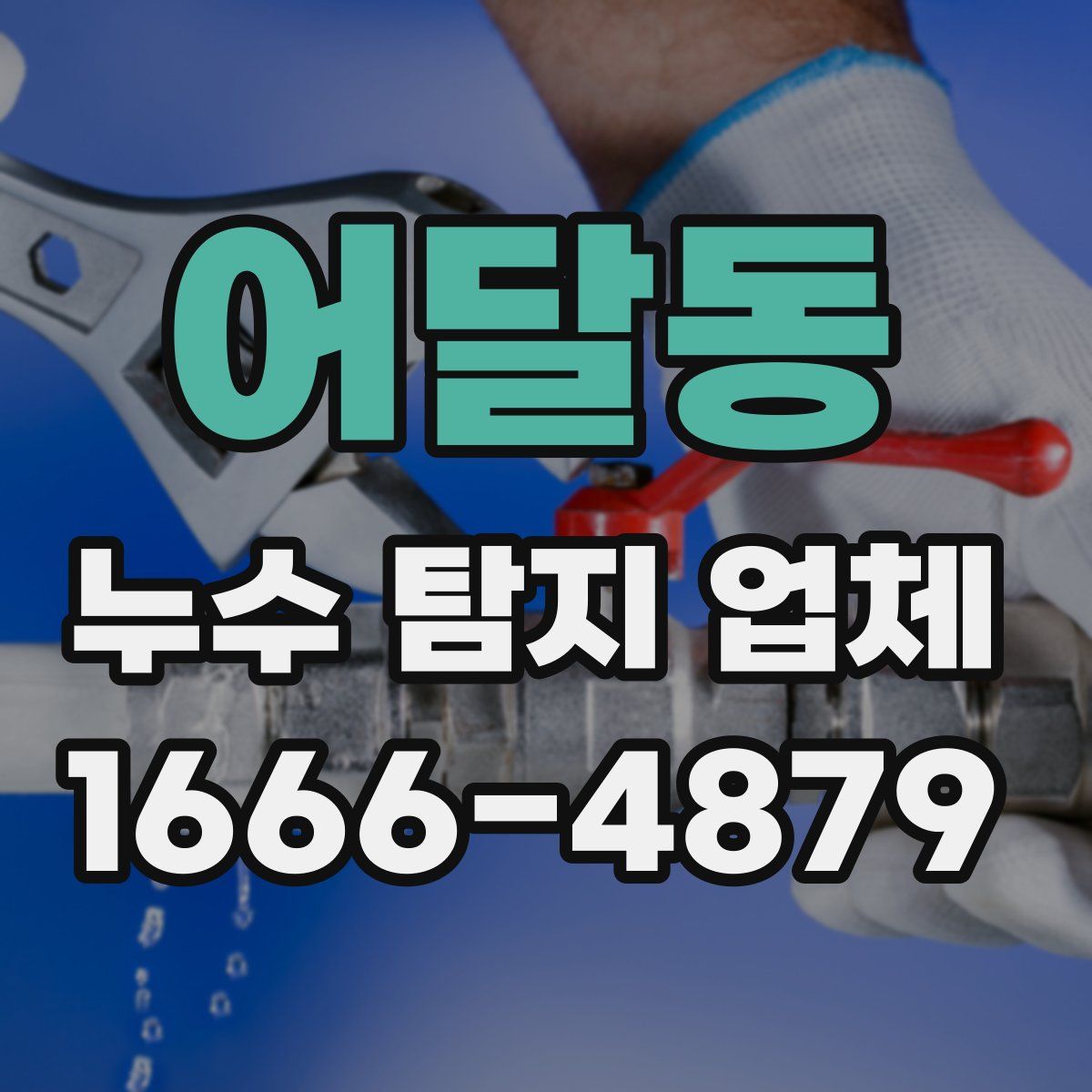 어달동 누수 탐지 업체