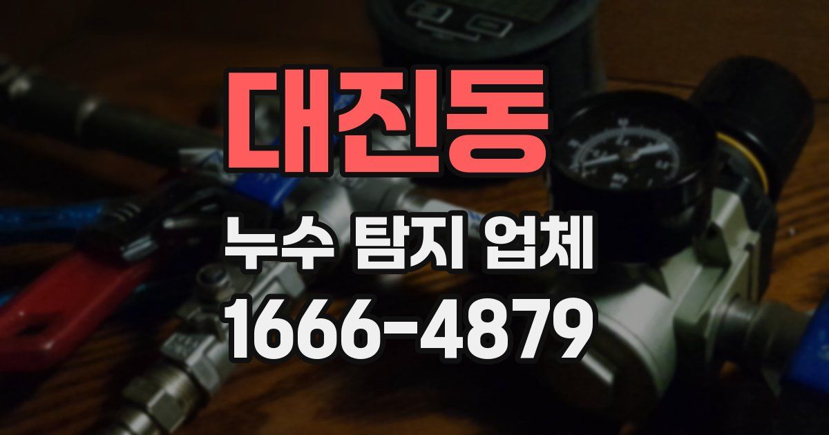 대진동 누수 탐지 업체