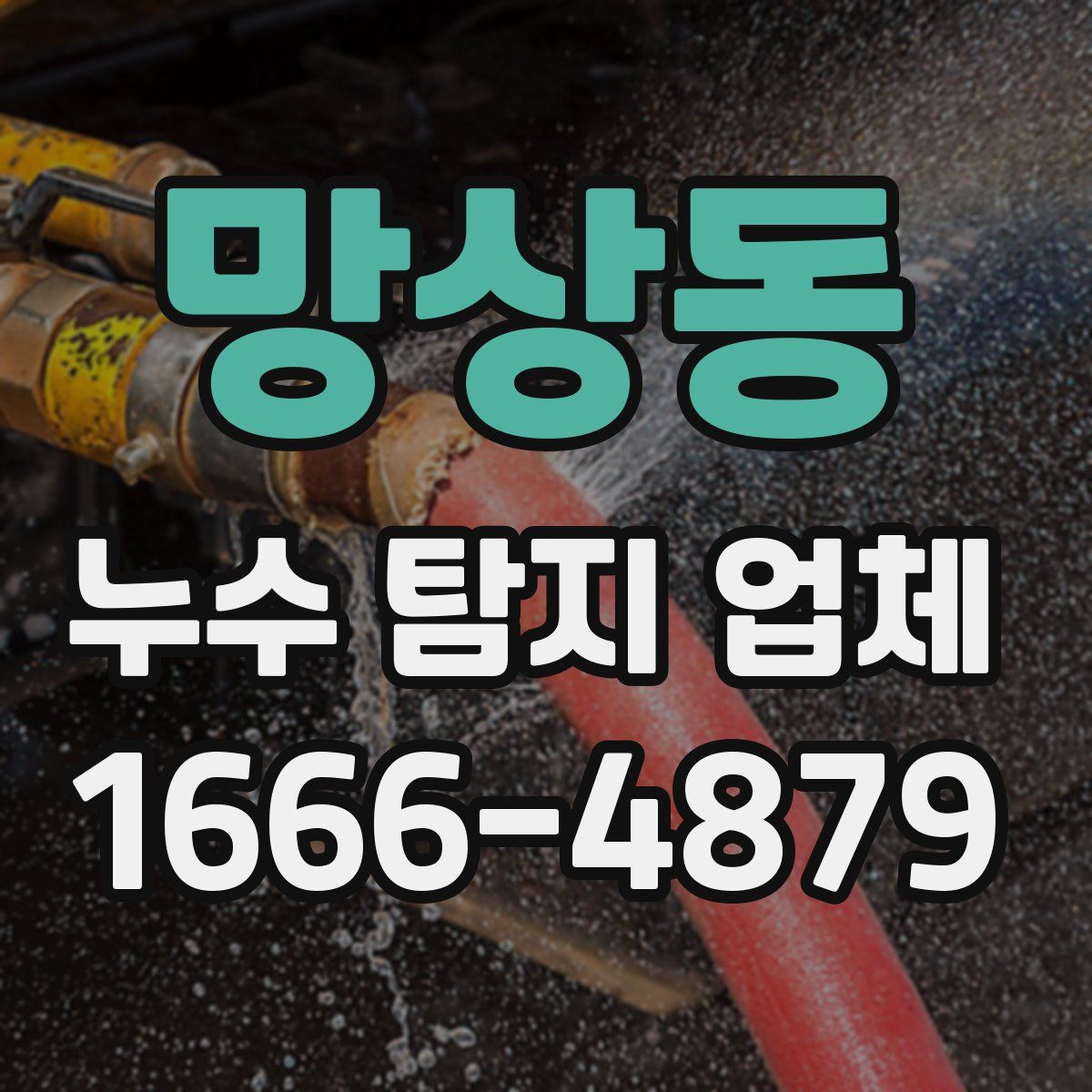 망상동 누수 탐지 업체
