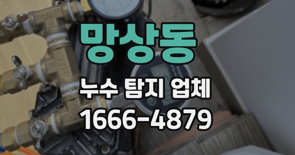 망상동 누수 탐지 업체
