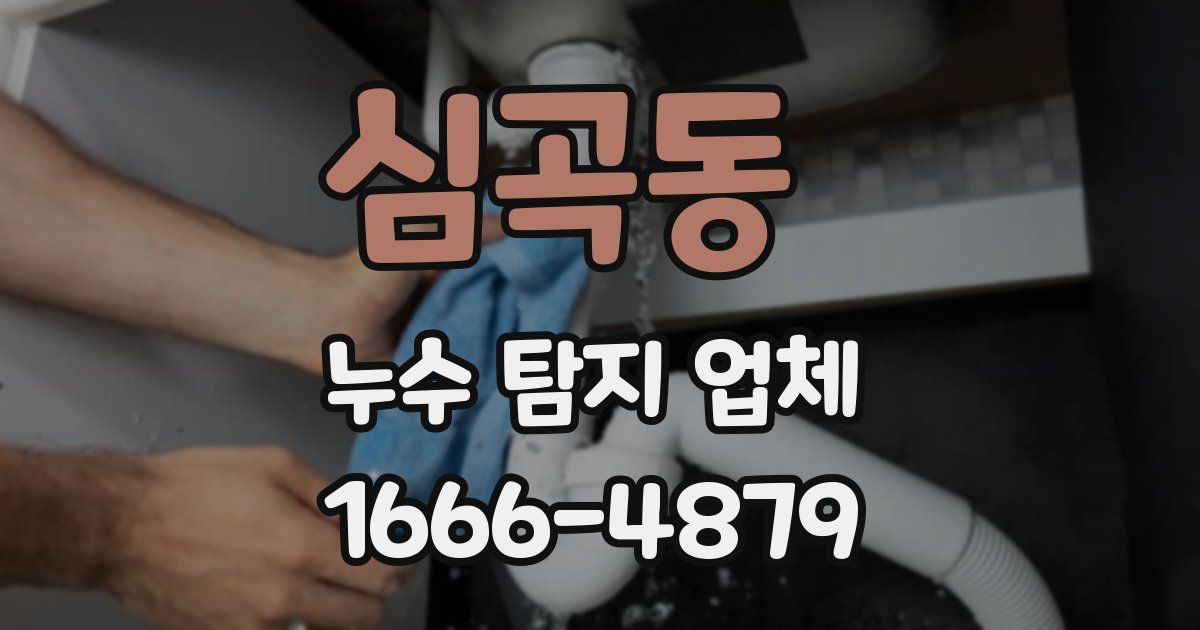 심곡동 누수 탐지 업체