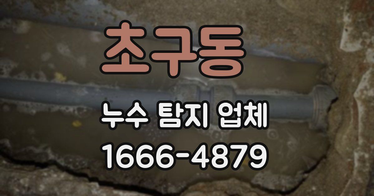 초구동 누수 탐지 업체