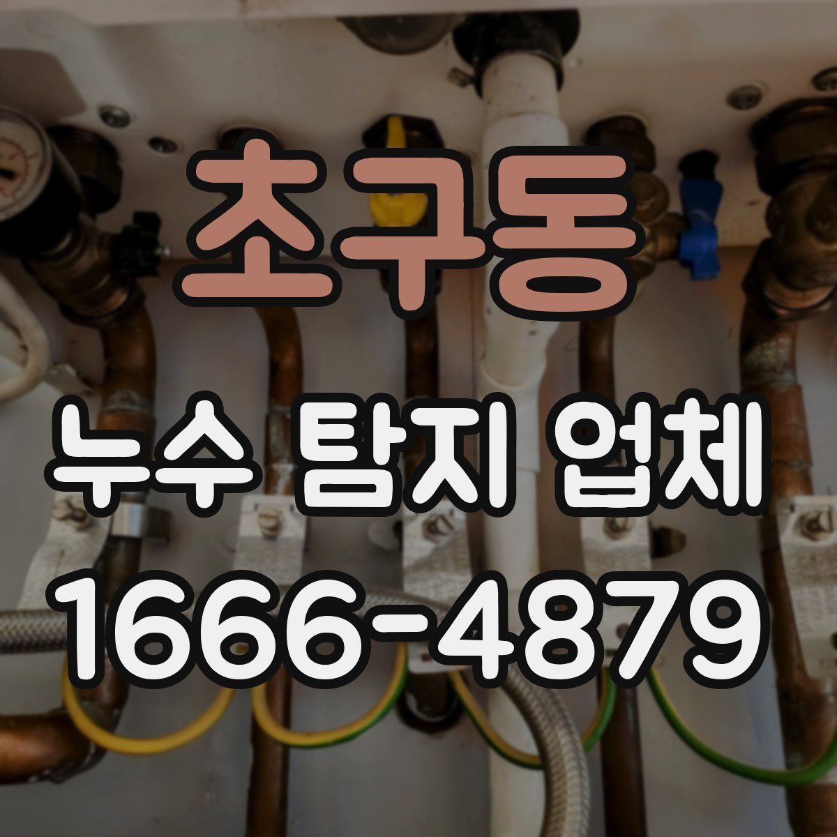 초구동 누수 탐지 업체