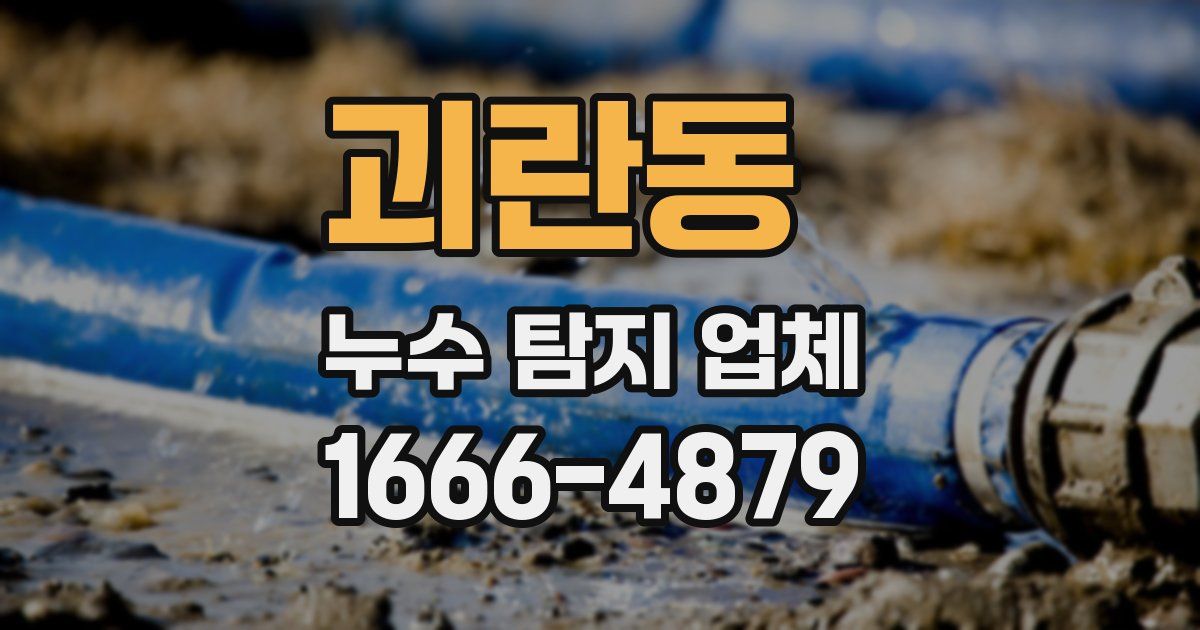 괴란동 누수 탐지 업체