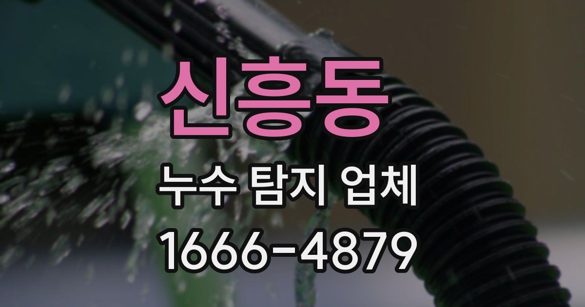 신흥동 누수 탐지 업체
