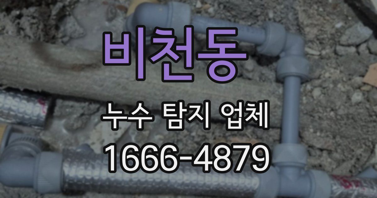 비천동 누수 탐지 업체