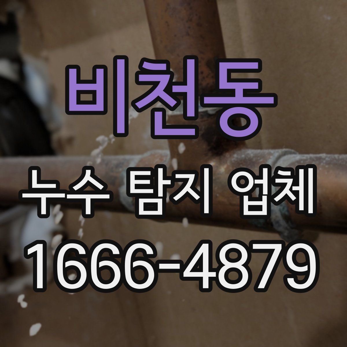 비천동 누수 탐지 업체