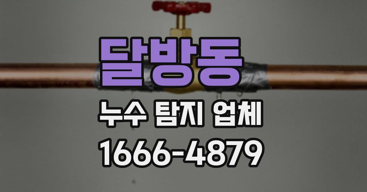 달방동 누수 탐지 업체
