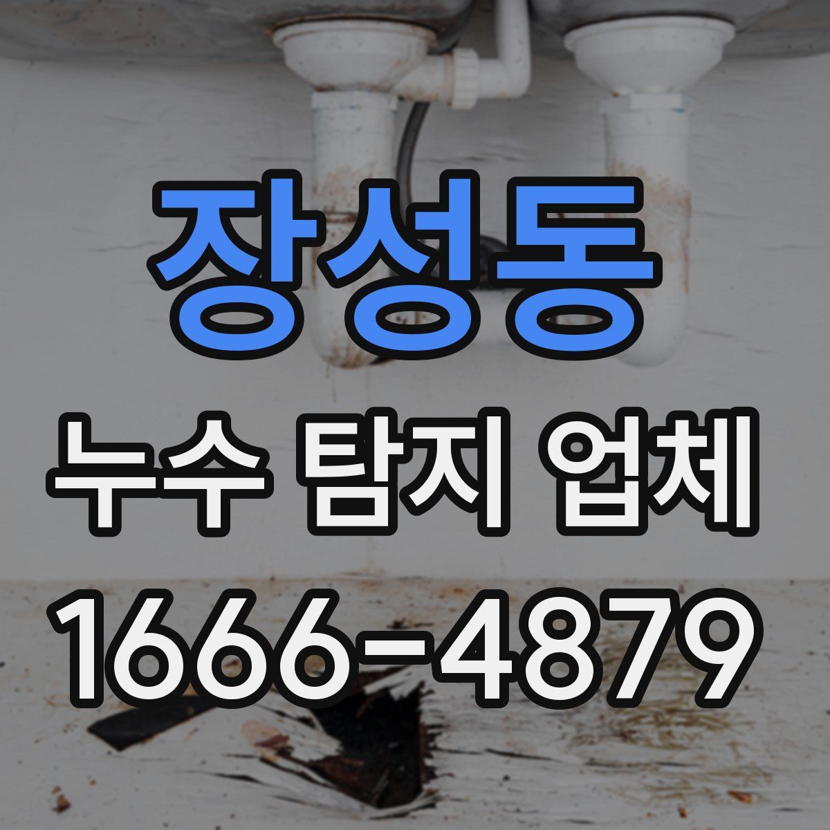 장성동 누수 탐지 업체