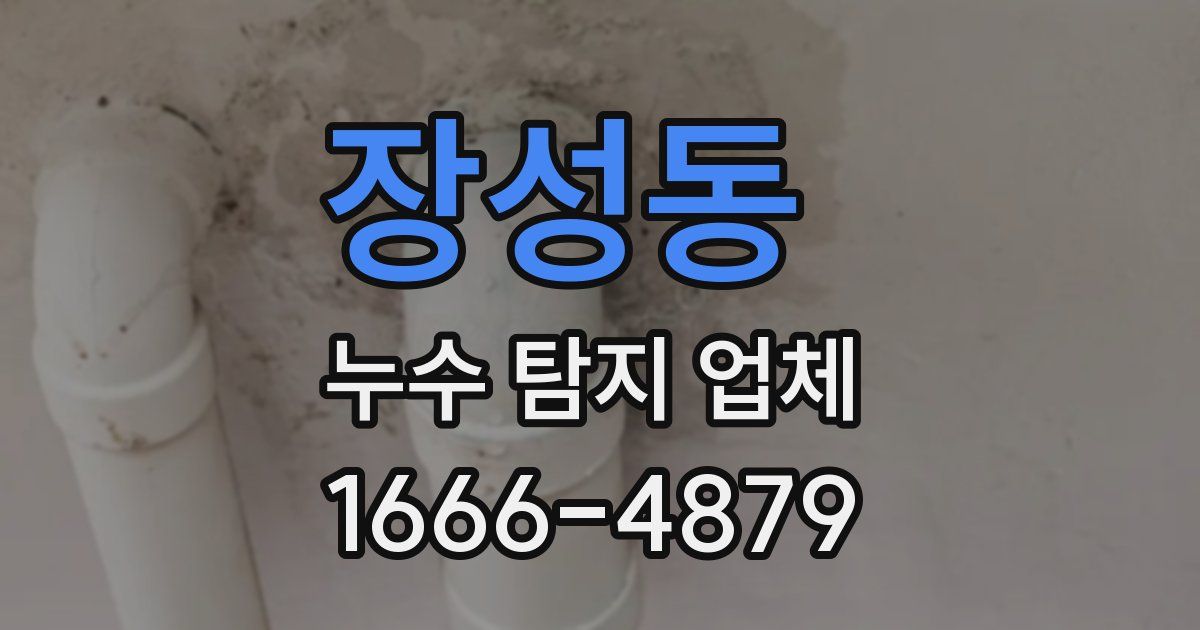 장성동 누수 탐지 업체