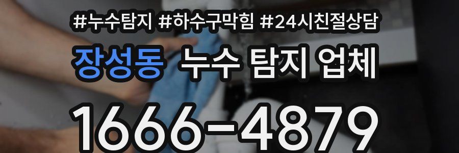 장성동 누수 탐지 업체