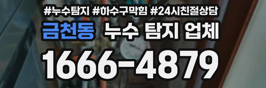 금천동 누수 탐지 업체