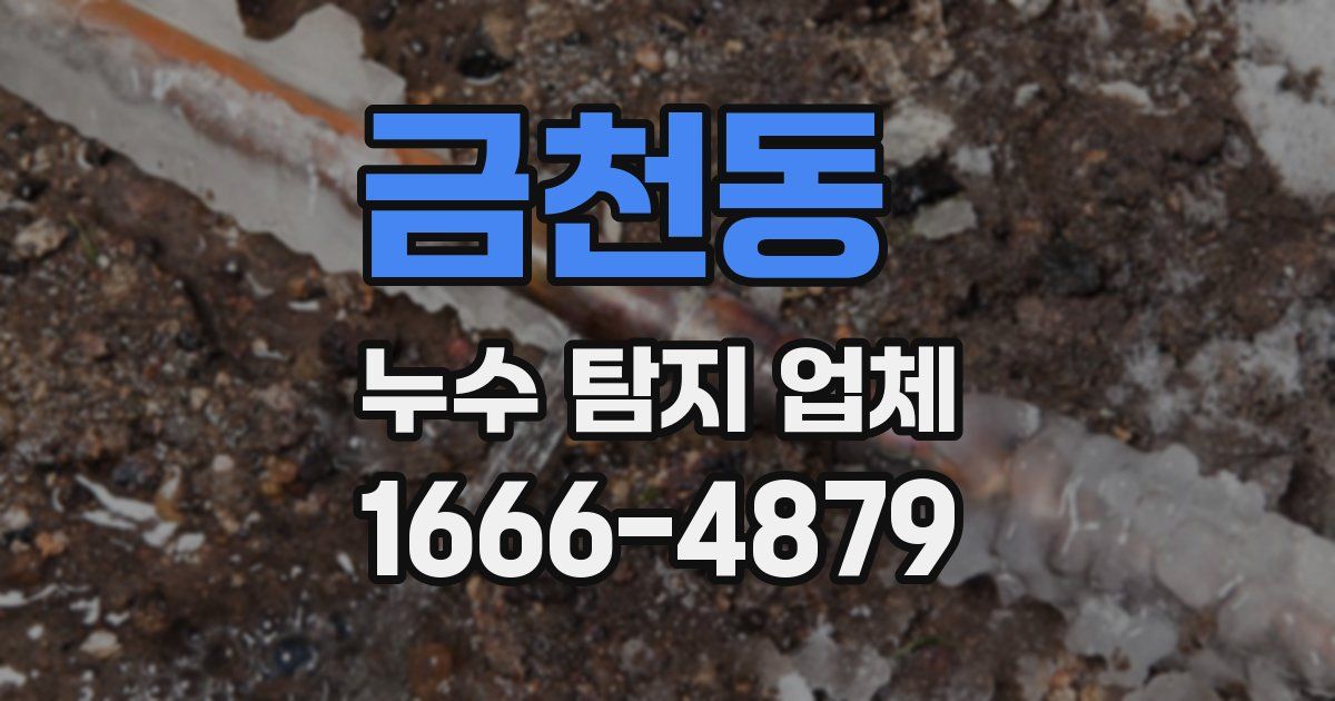 금천동 누수 탐지 업체