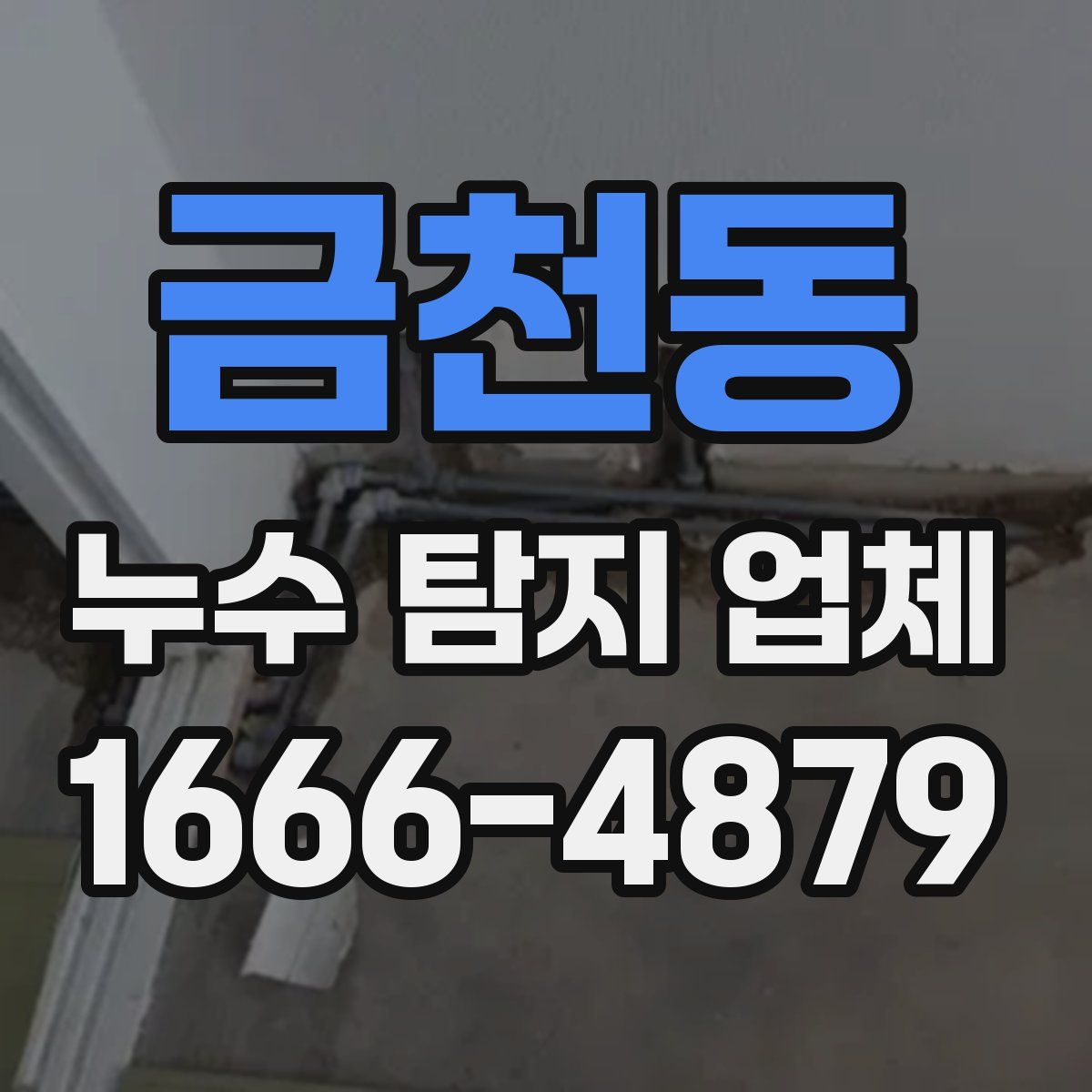 금천동 누수 탐지 업체