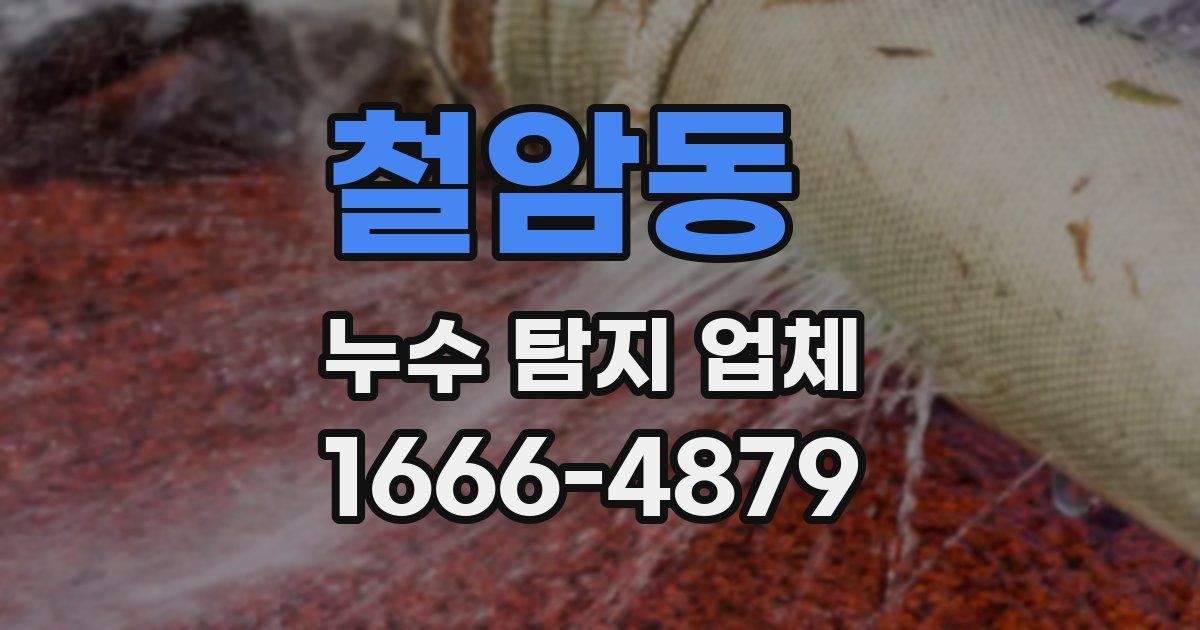 철암동 누수 탐지 업체