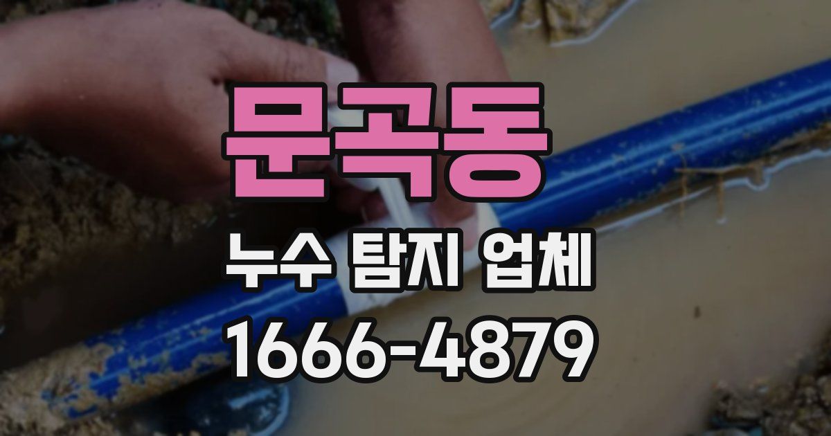 문곡동 누수 탐지 업체