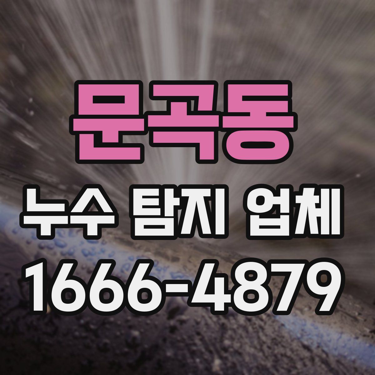문곡동 누수 탐지 업체