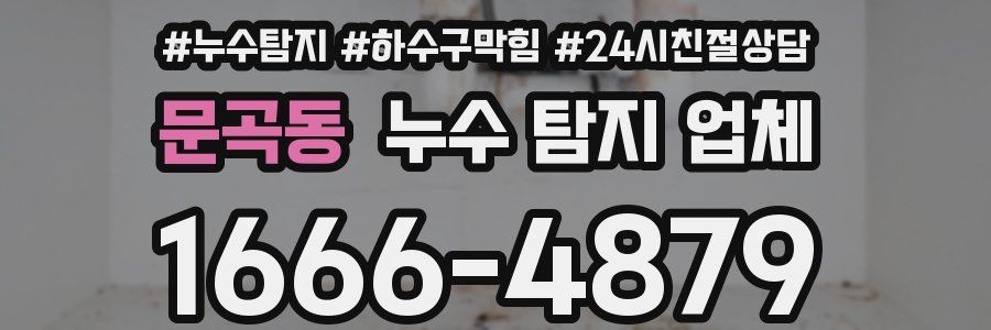 문곡동 누수 탐지 업체
