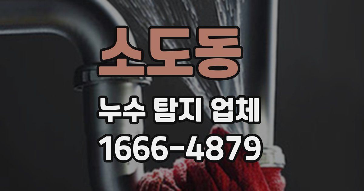 소도동 누수 탐지 업체