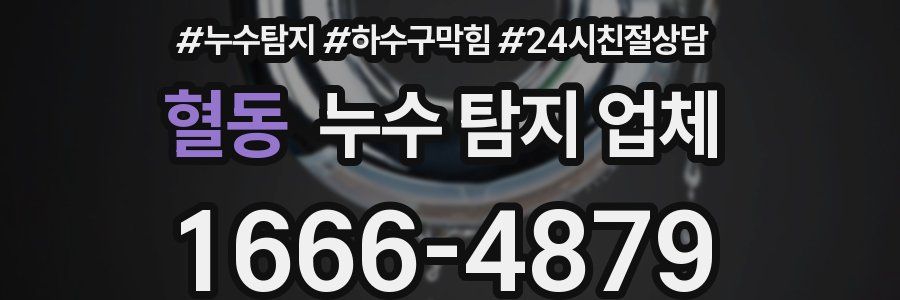 혈동 누수 탐지 업체