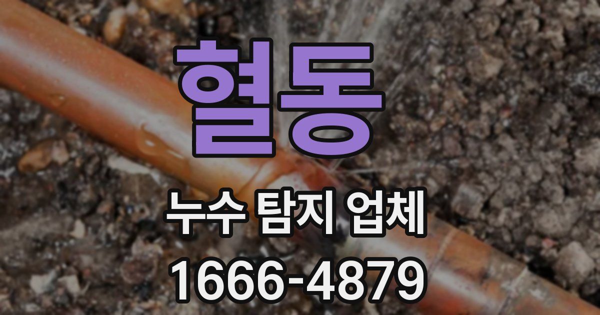 혈동 누수 탐지 업체