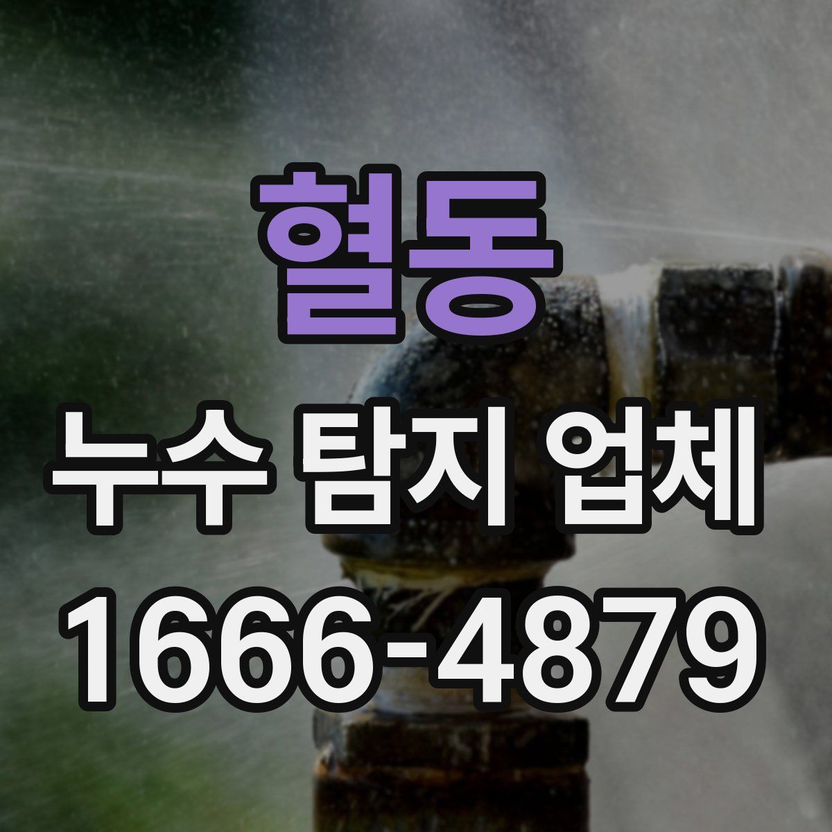 혈동 누수 탐지 업체